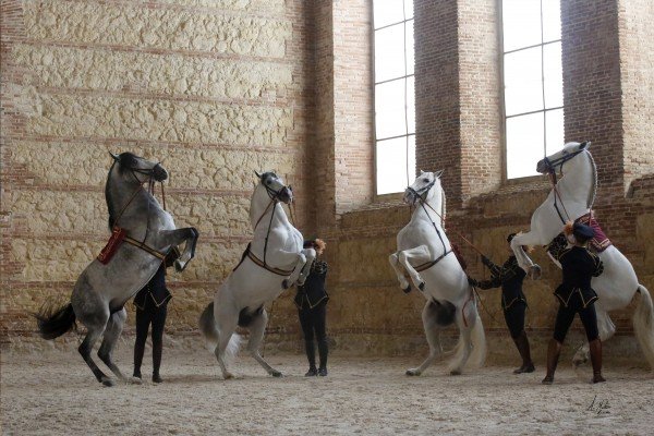 Shooting with horses in Southern Spain? We are the specialists! Ask us what is possible.
